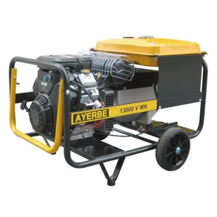 Gerador Ayerbe 13000 V MN A/E Vanguard 12.5 KVA 230V Gerador Ayerbe 13000 V MN A/E Vanguard 12.5 KVA 230V