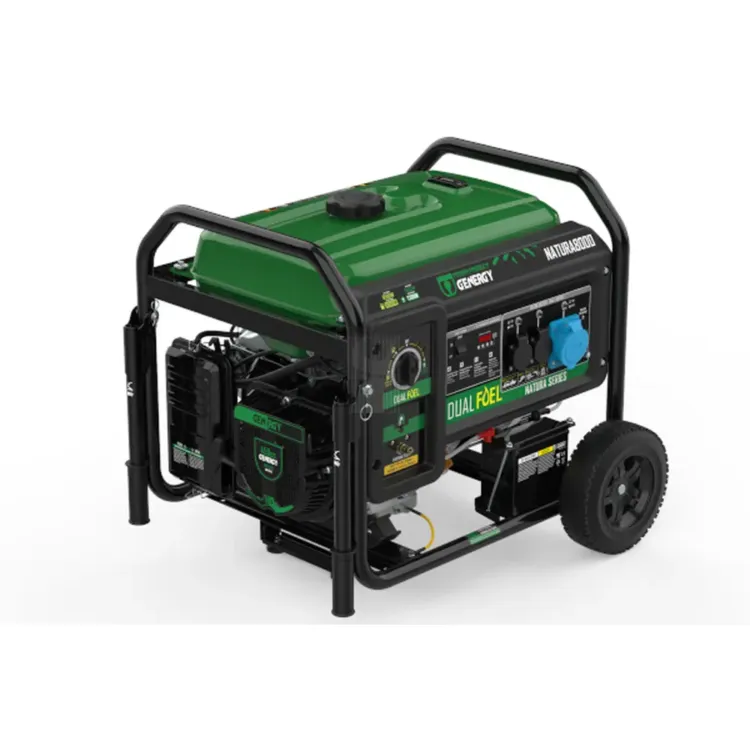 GERADOR DUAL 8500W NATURA 8000 GENERGY