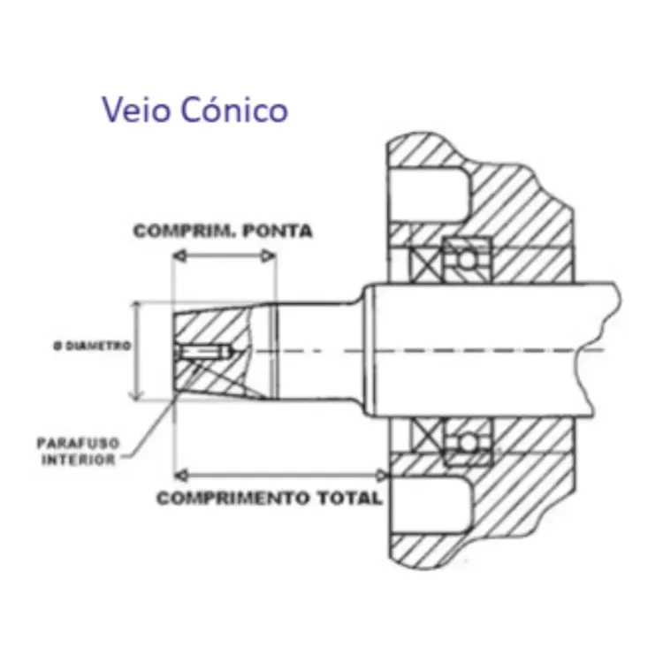 MOTOR GASOLINA HP LTV VEIO CONICO (Ø XMM) MOTOR GASOLINA HP LTV VEIO CONICO (Ø XMM)