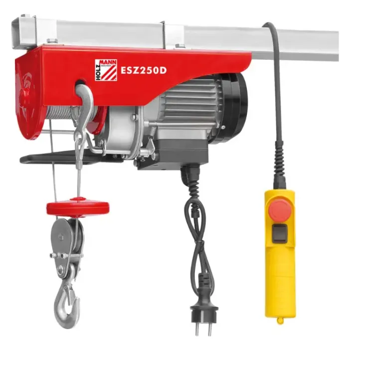Guincho eléctrico HOLZMANN ESZ250D 250kg 500W 230V