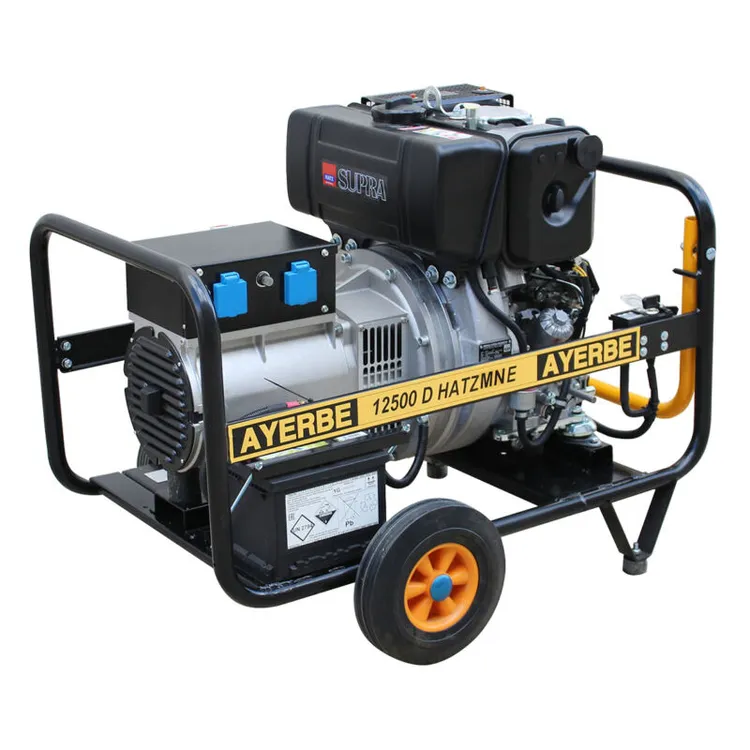 Gerador Diesel AYERBE 12500 HATZ MN 12.5 KVA 230V 18HP