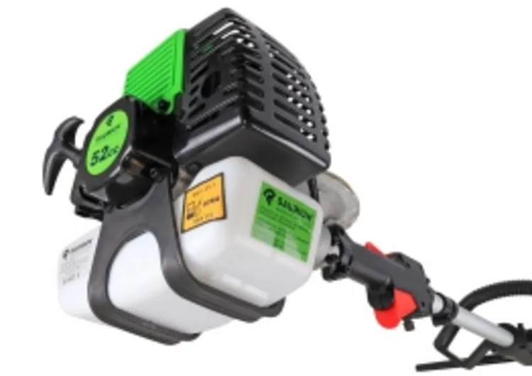 VAREJADOR DE AZEITONAS 52CC SAURIUM