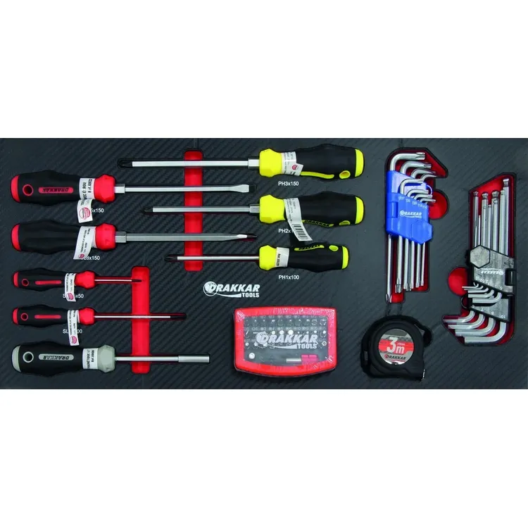 Módulo de Espuma DRAKKAR com Chaves de Fenda e Hex/Torx 60 Peças